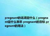 pregnant的名詞是什么（pregnant是什么意思 pregnant的音標(biāo) pregnant的用法）