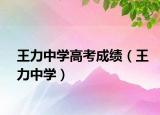 王力中學(xué)高考成績(jī)（王力中學(xué)）