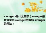 avengers是什么意思（avenger是什么意思 avenger的音標(biāo) avenger的用法）
