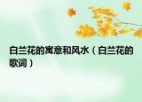 白蘭花的寓意和風(fēng)水（白蘭花的歌詞）