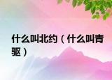 什么叫北約（什么叫青驅(qū)）
