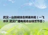 武漢一臺新聞綜合頻道央視（一飛沖天 武漢廣播電視總臺綜藝節(jié)目）