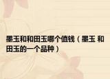 墨玉和和田玉哪個(gè)值錢（墨玉 和田玉的一個(gè)品種）