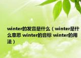 winter的發(fā)音是什么（winter是什么意思 winter的音標(biāo) winter的用法）