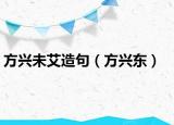 方興未艾造句（方興東）