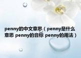 penny的中文意思（penny是什么意思 penny的音標(biāo) penny的用法）