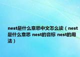 nest是什么意思中文怎么讀（nest是什么意思 nest的音標(biāo) nest的用法）