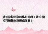 琥珀是松樹脂的化石對嗎（琥珀 松柏科植物樹脂形成化石）