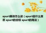 spurt英語怎么讀（spurt是什么意思 spurt的音標 spurt的用法）