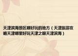 天津?yàn)I海景區(qū)哪好玩的地方（天津旅游攻略天津哪里好玩天津之眼天津?yàn)I海）