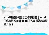 excel表格如何顯示工作表標(biāo)簽（excel工作表標(biāo)簽在哪 excel工作表標(biāo)簽怎么設(shè)置介紹）