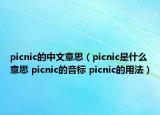 picnic的中文意思（picnic是什么意思 picnic的音標(biāo) picnic的用法）