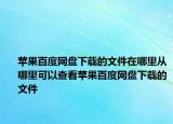 蘋果百度網盤下載的文件在哪里從哪里可以查看蘋果百度網盤下載的文件