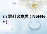 nsf是什么意思（NSFNet）