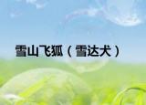 雪山飛狐（雪達犬）