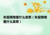 年報(bào)預(yù)增是什么意思（年報(bào)預(yù)增是什么意思）