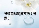 馬騾自然繁育方法（馬騾）