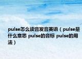 pulse怎么讀音發(fā)音英語（pulse是什么意思 pulse的音標 pulse的用法）