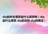 dip的中文意思是什么意思?。╠ip是什么意思 dip的音標(biāo) dip的用法）