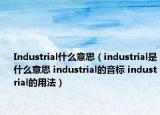 Industrial什么意思（industrial是什么意思 industrial的音標(biāo) industrial的用法）