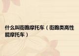 什么叫街跑摩托車(chē)（街跑類(lèi)高性能摩托車(chē)）