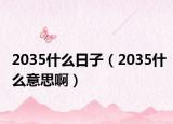 2035什么日子（2035什么意思?。? /></span></a>
                        <h2><a href=