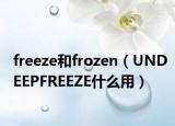 freeze和frozen（UNDEEPFREEZE什么用）