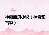 神奇寶貝小說（神奇預(yù)言家）
