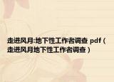 走進(jìn)風(fēng)月:地下性工作者調(diào)查 pdf（走進(jìn)風(fēng)月地下性工作者調(diào)查）