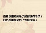 白色衣服被染色了如何洗得干凈（白色衣服被染色了如何洗掉）