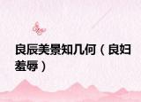 良辰美景知幾何（良婦羞辱）