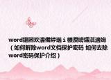 word鏂囦歡濡備綍瑙ｉ櫎瀵嗙爜淇濇姢（如何解除word文檔保護(hù)密碼 如何去除word密碼保護(hù)介紹）