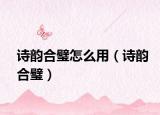 詩(shī)韻合璧怎么用（詩(shī)韻合璧）