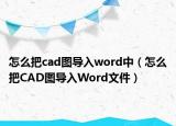 怎么把cad圖導(dǎo)入word中（怎么把CAD圖導(dǎo)入Word文件）