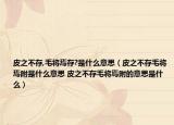 皮之不存,毛將焉存?是什么意思（皮之不存毛將焉附是什么意思 皮之不存毛將焉附的意思是什么）