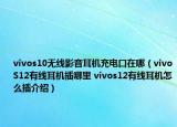 vivos10無線影音耳機(jī)充電口在哪（vivoS12有線耳機(jī)插哪里 vivos12有線耳機(jī)怎么插介紹）