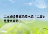 二本畢設(shè)是真的很水嗎（二表b是什么意思）