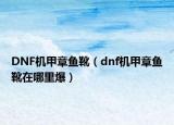 DNF機(jī)甲章魚(yú)靴（dnf機(jī)甲章魚(yú)靴在哪里爆）