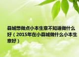 縣城想做點小本生意不知道做什么好（2015年在小縣城做什么小本生意好）