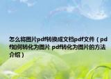 怎么將圖片pdf轉(zhuǎn)換成文檔pdf文件（pdf如何轉(zhuǎn)化為圖片 pdf轉(zhuǎn)化為圖片的方法介紹）