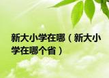 新大小學在哪（新大小學在哪個?。? /></span></a>
                        <h2><a href=