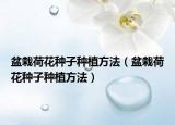 盆栽荷花種子種植方法（盆栽荷花種子種植方法）
