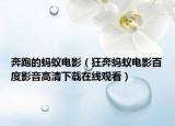 奔跑的螞蟻電影（狂奔螞蟻電影百度影音高清下載在線觀看）