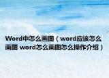 Word中怎么畫圖（word應(yīng)該怎么畫圖 word怎么畫圖怎么操作介紹）