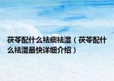 茯苓配什么祛痰祛濕（茯苓配什么祛濕最快詳細介紹）