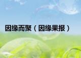因緣而聚（因緣果報）