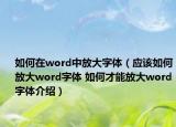 如何在word中放大字體（應(yīng)該如何放大word字體 如何才能放大word字體介紹）
