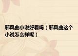邪風曲小說好看嗎（邪風曲這個小說怎么樣呢）