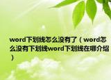 word下劃線怎么沒有了（word怎么沒有下劃線word下劃線在哪介紹）