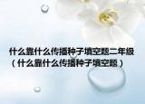 什么靠什么傳播種子填空題二年級（什么靠什么傳播種子填空題）